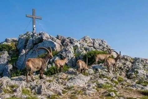Almenland Familie Bruggraber Mit 2 Schlafzimmer * Pernegg an der Mur
